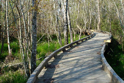 New South Bridge NC