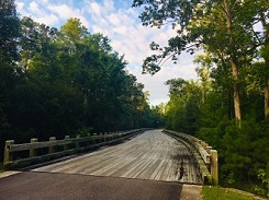 River Sea Plantation Bridge 3