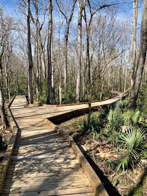 Palmetto Creek Nature Trail