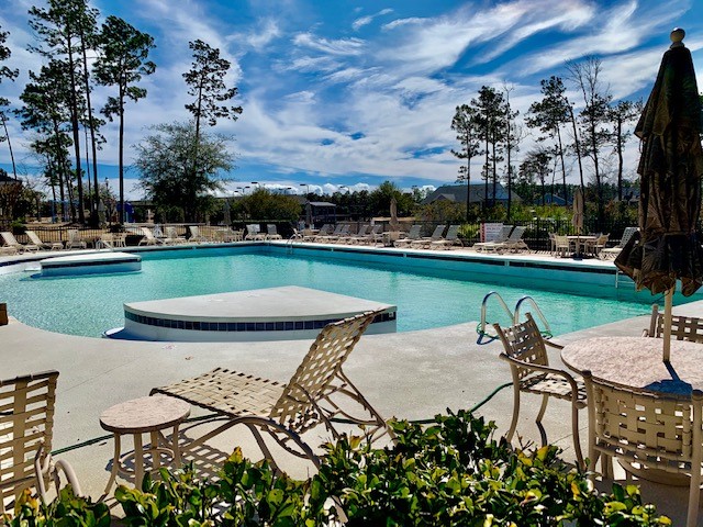 Palmetto Creek Pool