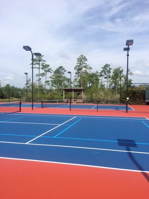 Palmetto Creek Tennis Court